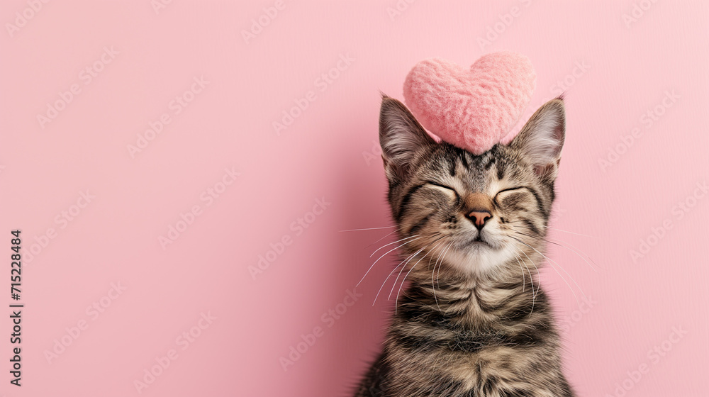 Obraz premium cat with heart on the head