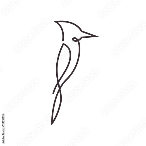 woodpecker line icon logo vector