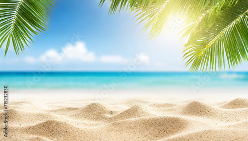 Tropical beach with coconut palm tree leaf. Summer vacation background. © Mariusz Blach