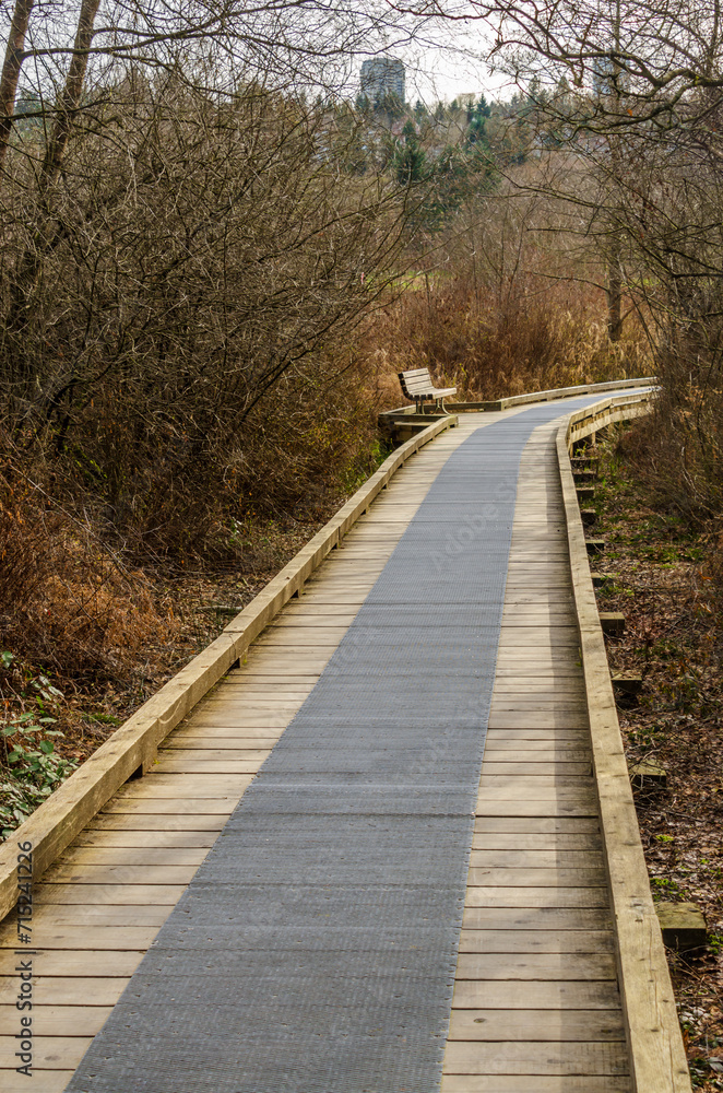 Trail in Park with Wooden Path on Fall in Vancouver, Canada. Trail in Park with Wooden Path on Fall in Vancouver, Canada.