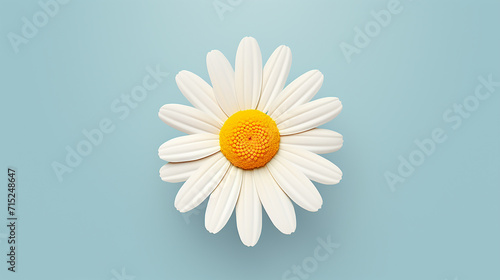 illustration of a simple, single daisy, its petals and yellow center reduced to essential forms