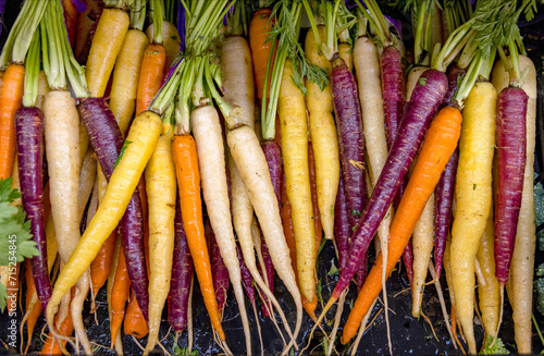 Above shot of a group of wet multi colored carrots arranged in a row display