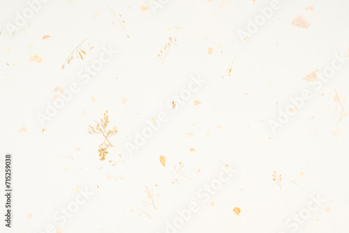 Handmade mulberry paper texture background.