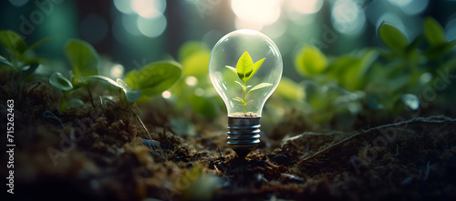 Tree seeds in a light bulb against a green forest backdrop, symbolizing eco-technology, green business, innovation in eco-industries, and renewable energy. photo