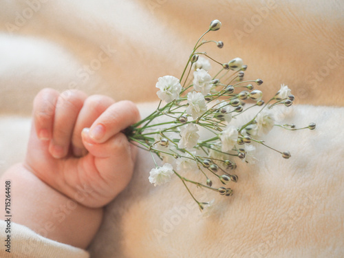 Baby hand with white Baby`s breath