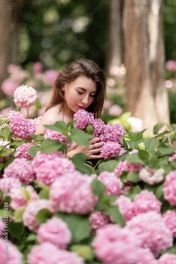 Hydrangeas Happy woman in pink dress amid hydrangeas. Large pink hydrangea caps surround woman. Sunny outdoor setting. Showcasing happy woman amid hydrangea bloom.