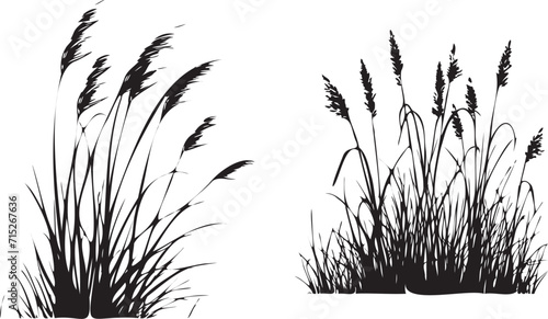grass silhouette vector