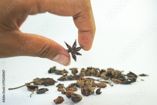 hand holding Illicium verum on white background photo