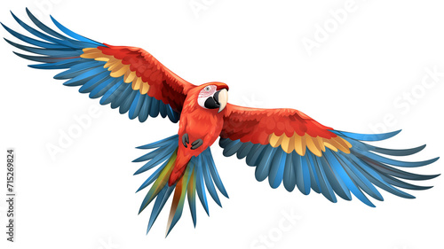 Scarlet macaw parrot flying isolated on transparent background photo