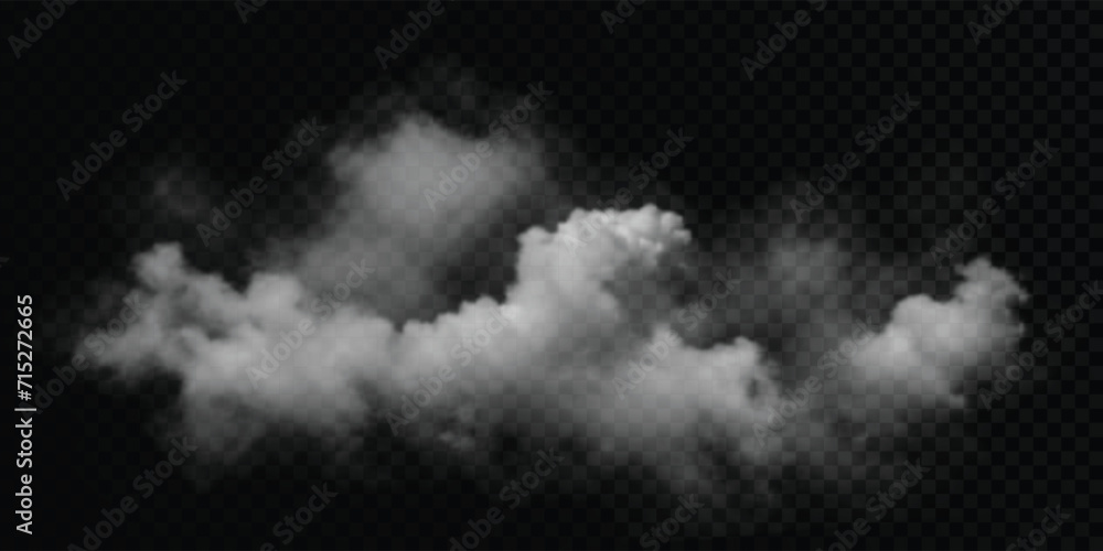 Vector cloud on a transparent background, smoke. Gradient mesh. Vector cloud on a transparent background, smoke. Gradient mesh.