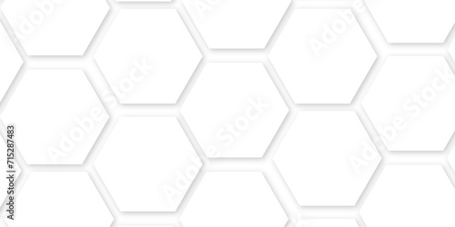 3d hexagonal structure futuristic white background and embossed hexagon abstract with hexagon background. modern abstract vector polygonal pattern. honeycomb hexagonal background. 