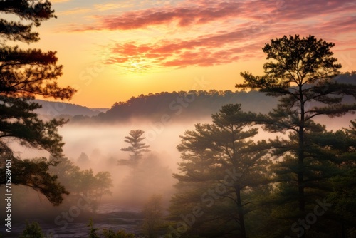  the sun is setting over the trees in the foggy area of a forest with a river in the foreground.