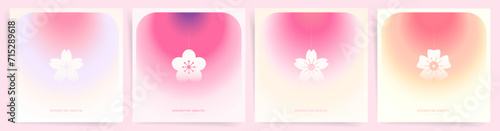 Pink Gradient Background with Hanami Sakura Flowers and Duotone Pink Color Backdrops. Poster, Card, Banner Templates for Valentines Day, Mother Day and Springtime Season Holidays. 
