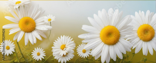 Template with daisies . AI 