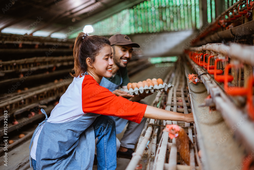 attractive female worker and male worker pick up eggs in a cage together while squatting at poultry farm