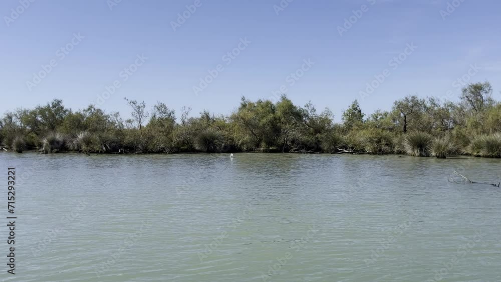 Nature reserve in the south of France river with nature in the sun Nature reserve in the south of France river with nature in the sun