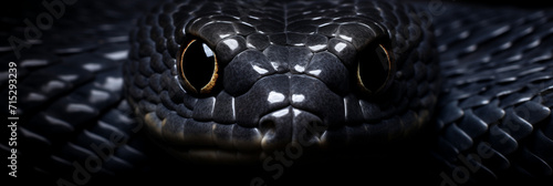 Black viper snake closeup face, black Insulars Snake, Generative Ai photo