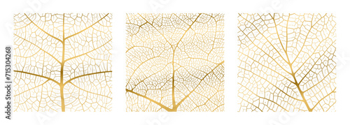 Leaf vein texture abstract background with close up plant leaf cells ornament texture pattern set. Golden organic macro linear pattern of nature leaf foliage vector illustration.