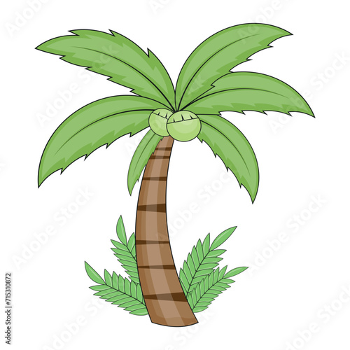 Palm Tree Illustration