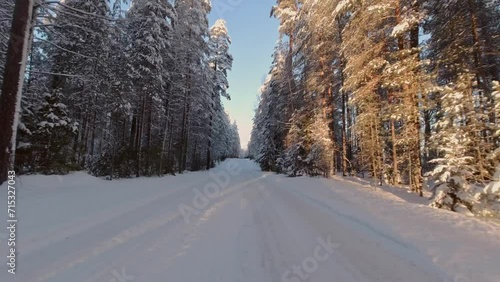 Wallpaper Mural Fast paced driving POV in snowy avenue of winter forest trees sunny day Torontodigital.ca