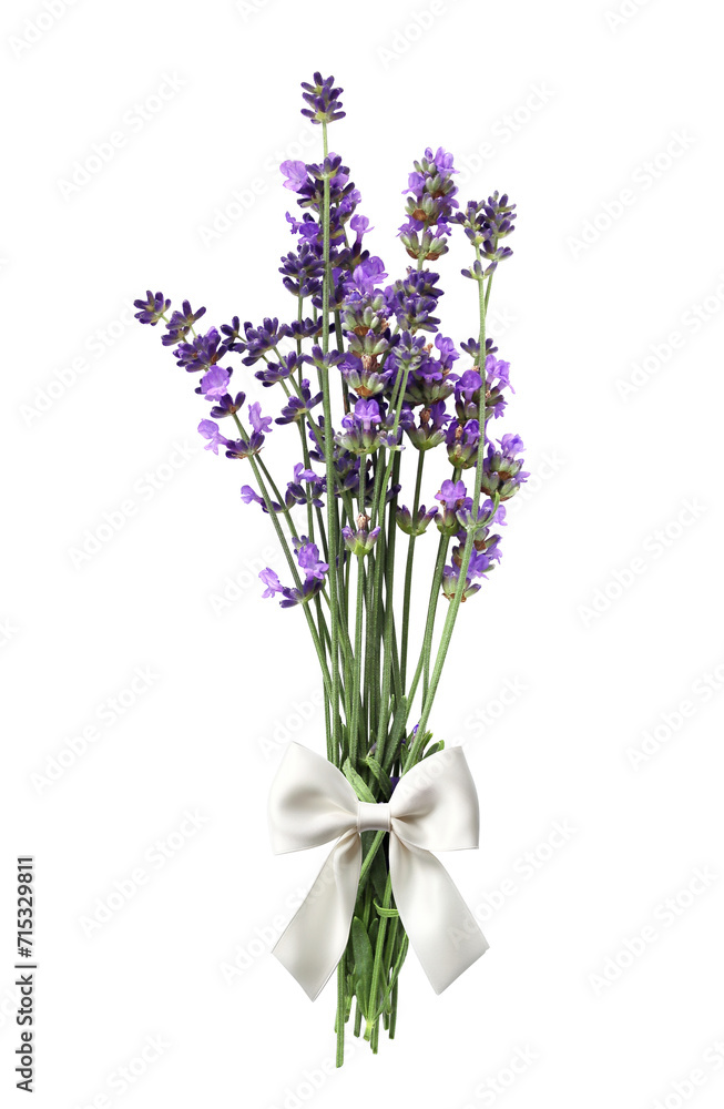 Bouquet of purple lavender flower, tied with a white bow. Bunch of fresh lavandula flowers. Isolated on white background Bouquet of purple lavender flower, tied with a white bow. Bunch of fresh lavandula flowers. Isolated on white background
