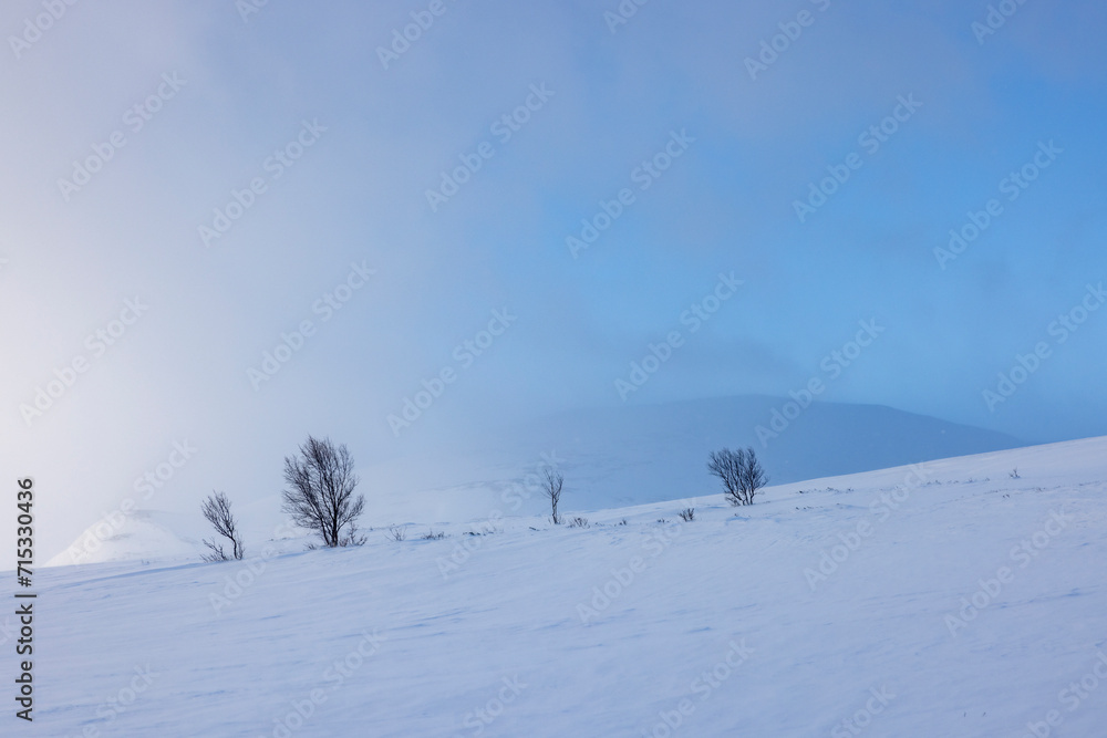 Winter scenery in a Norwegian national park