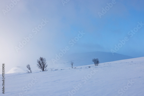 Winter scenery in a Norwegian national park