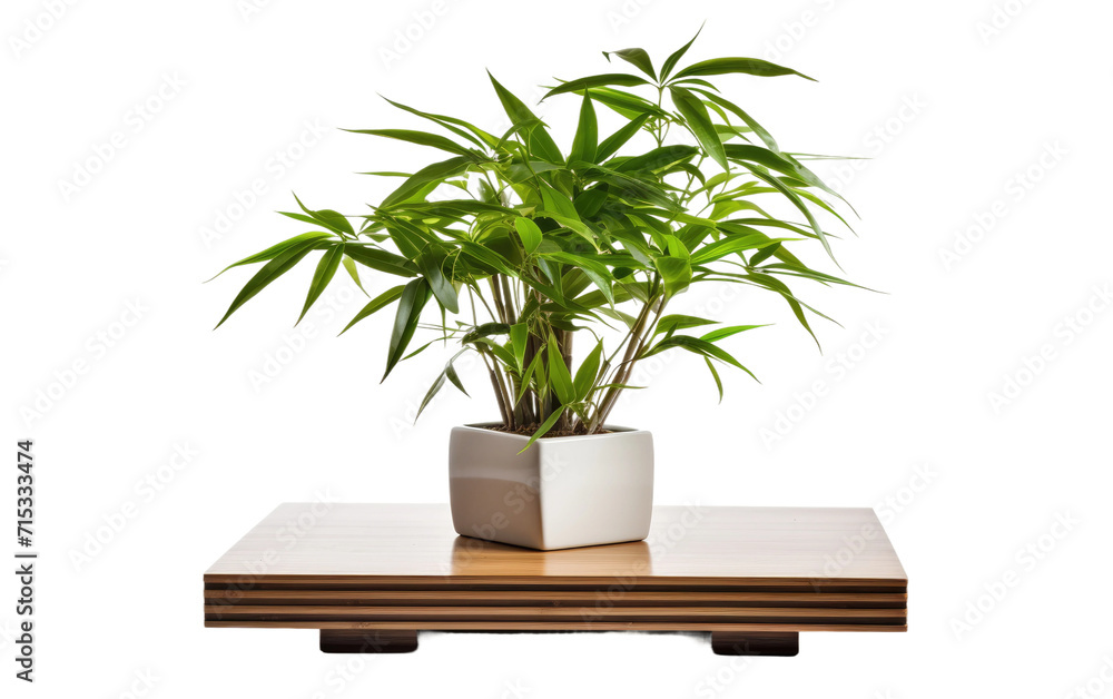 Space with a Table Featuring a Potted Bamboo Plant on a White or Clear Surface PNG Transparent Background. Space with a Table Featuring a Potted Bamboo Plant on a White or Clear Surface PNG Transparent Background.