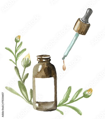 Skin care product. A brown glass jar with a pipette dispenser and a drop of essence, surrounded by branches with leaves and buds of a marigold flower.Hand drawn watercolor painting on white background