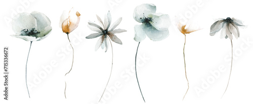 Watercolor floral set of blue, orange, gray poppy, chamomile, daisy wild flowers. 