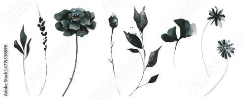 Watercolor floral set of black poppy, rose, leaves, chamomile, daisy, marigold, wild flowers. Traced vector drawing.