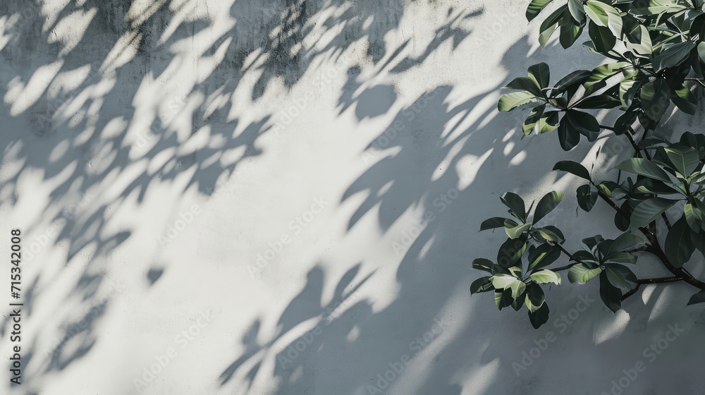 Enhance product presentation with the shadow of tree branches and leaves on a white concrete wall, illuminated by sunlight, creating a sunny day scene, Ai Generated. Enhance product presentation with the shadow of tree branches and leaves on a white concrete wall, illuminated by sunlight, creating a sunny day scene, Ai Generated.