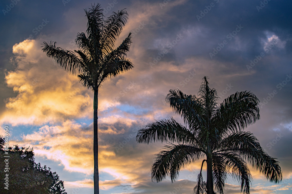 jamaica landscape in carribean sea and wild nature