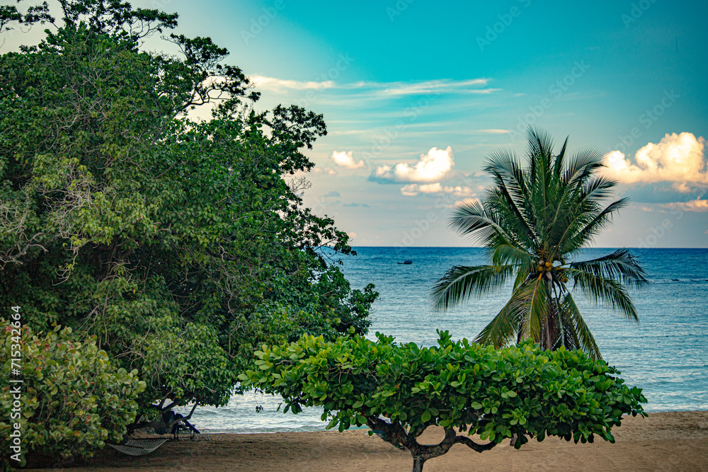 jamaica landscape in carribean sea and wild nature jamaica landscape in carribean sea and wild nature
