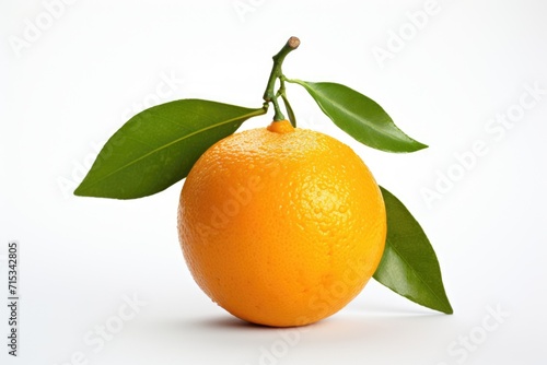 tangerine on white background 
