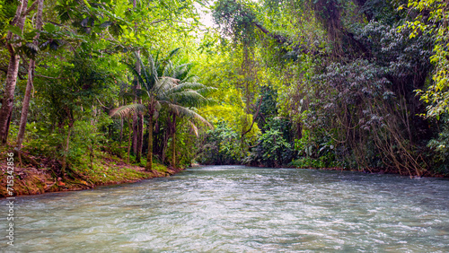 jamaica landscape in carribean sea and wild nature