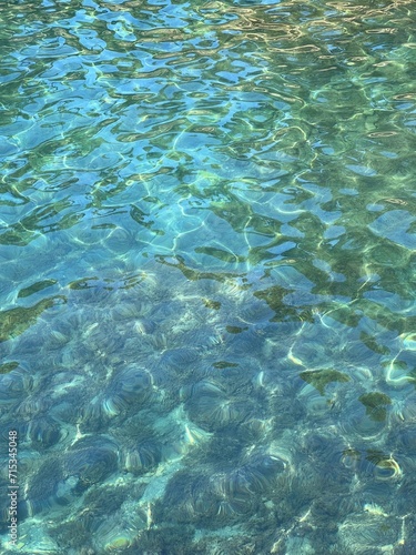 Blue turquoise sea water with seaweed