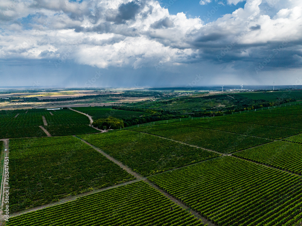 aerial view over rows of vine yards in moldova with epic loudy sky