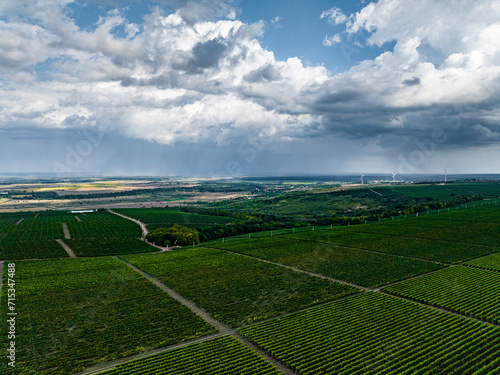 aerial view over rows of vine yards in moldova with epic loudy sky