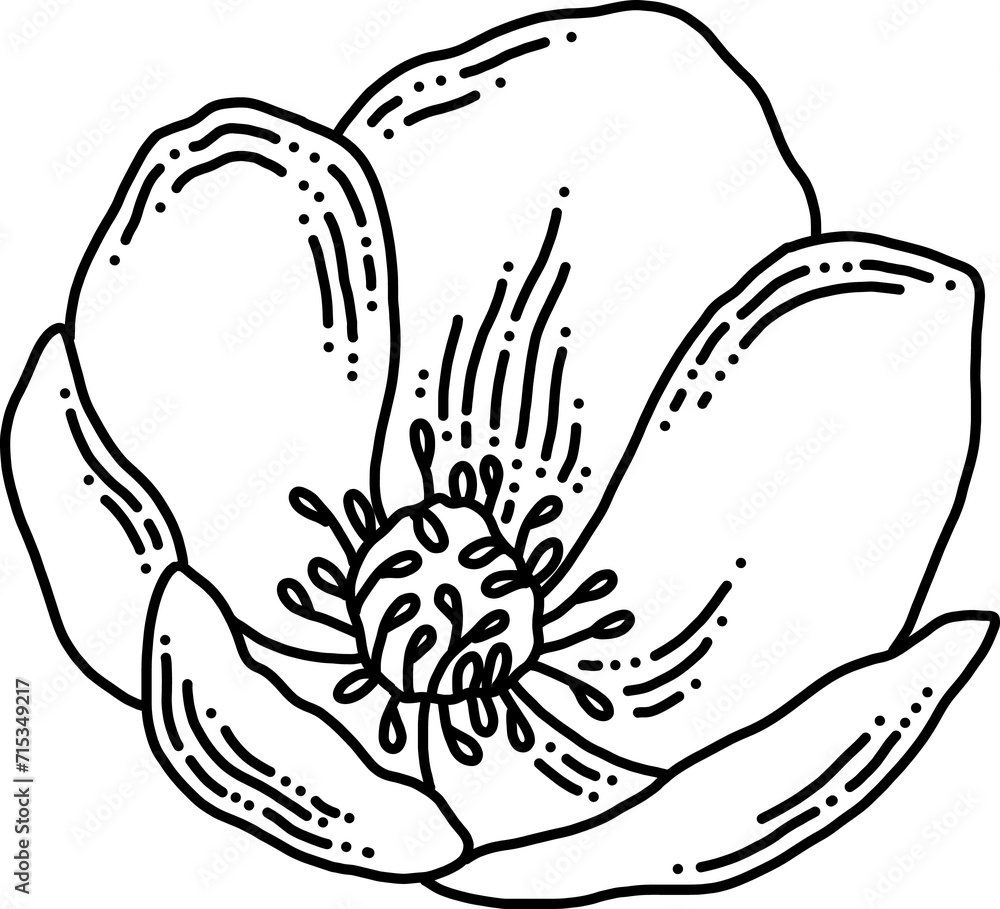 Flower Line Art Element Illustration Flower Line Art Element Illustration