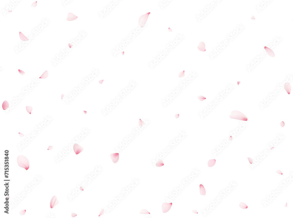 Falling Cherrty Petals Falling Cherrty Petals
