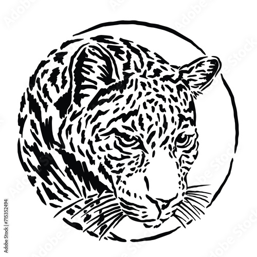 leopard tiger vector illustration with unique lines
