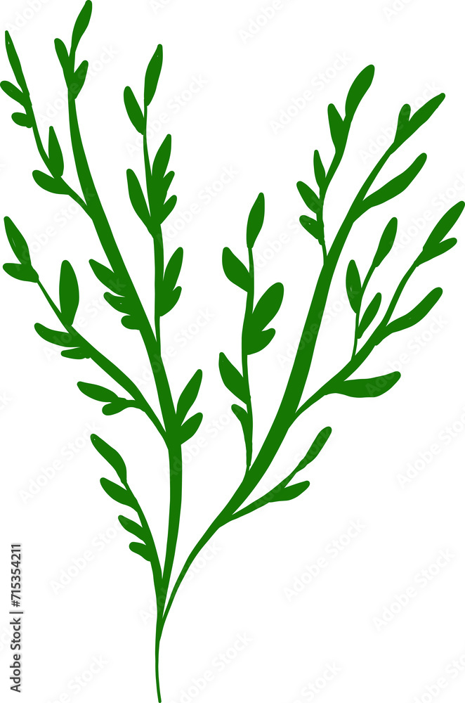 Christmas Floral Illustration Christmas Floral Illustration