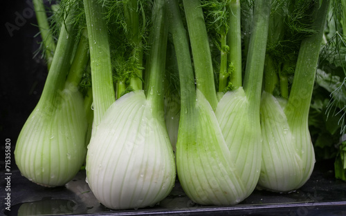 close up on fresh fennel for sale