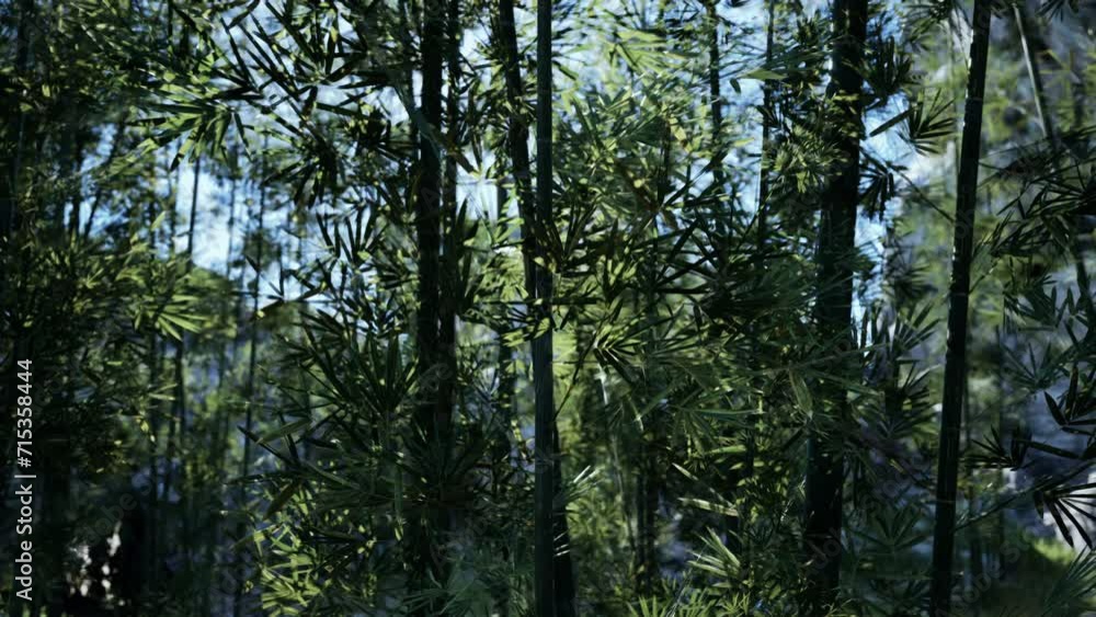 A Serene Grove of Interwoven Bamboo Trees