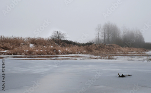 Pitt River Dike near the Grant Narrows Regional Park during a snowy winter season in Pitt Meadows, British Columbia, Canada photo