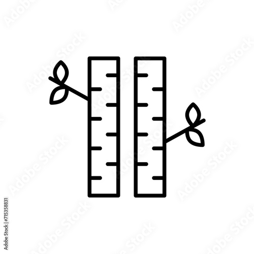Birch tree outline icons, minimalist vector illustration ,simple transparent graphic element .Isolated on white background