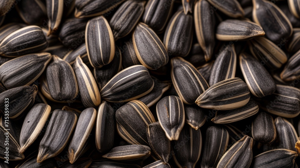 Sunflower seed texture. Photo from above. Sunflower seed texture. Photo from above.