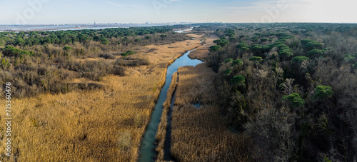 Aerial view of Pineta San Vitale and reeds in Ravenna photo