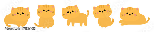 Cat set line. Different poses. Laying, standing, sitting red kitten. Cartoon kawaii funny baby character. Cute face, paw print. Kids collection. Sticker print. Flat design. White background